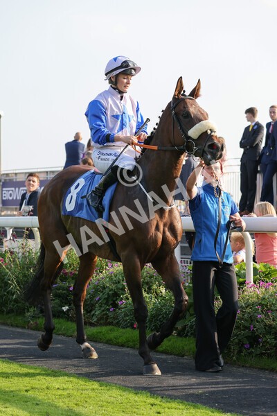 yr05092021r7-16 - Race 7 5.10pm Yorkshire Regiment Stakes