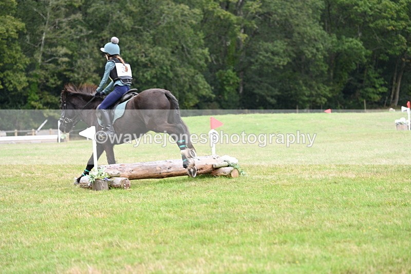 WJ7_7680 - 40cm Time 10:49 to 11:18