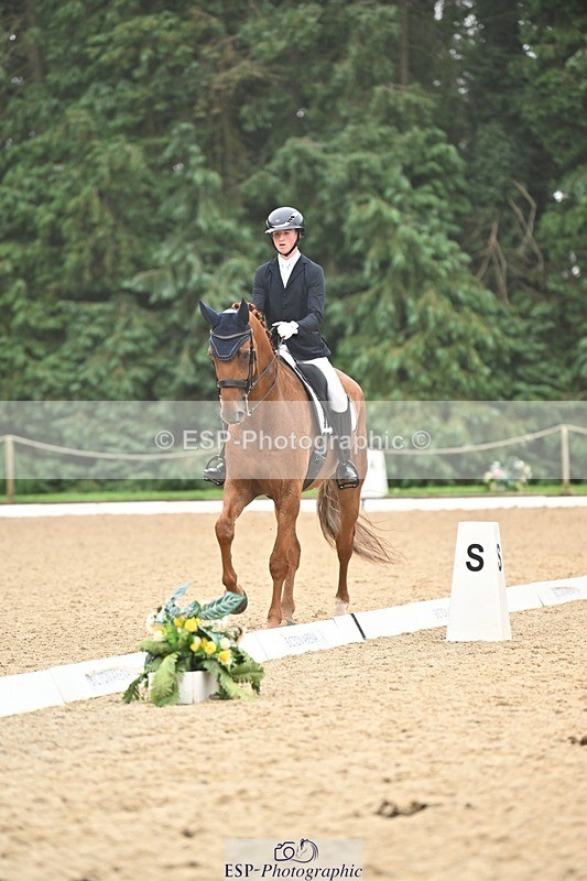 240811-113659-05213 - 208-Tom.Carter-Rubin.Regal