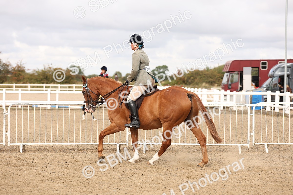 SBM_02838 - Class 53 - Ridden Competition Horse/Pony