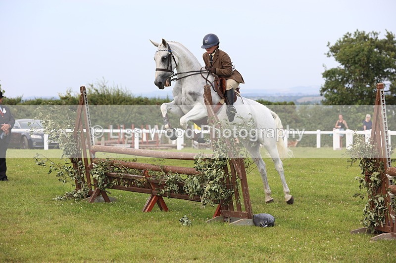 JPP_4162 - Class 25: Working Show Horse