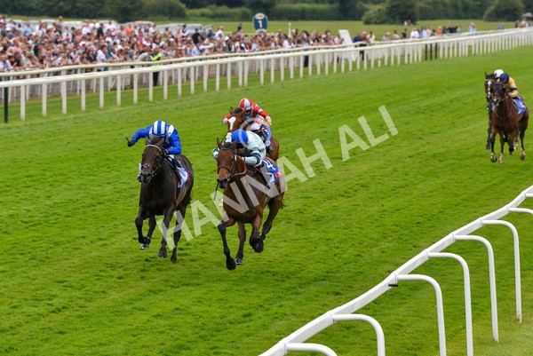 170623-Race 3-Quickthorn-7040 - Race 3 3.05pm Sky Bet Race To The Ebor Grand Cup Stakes