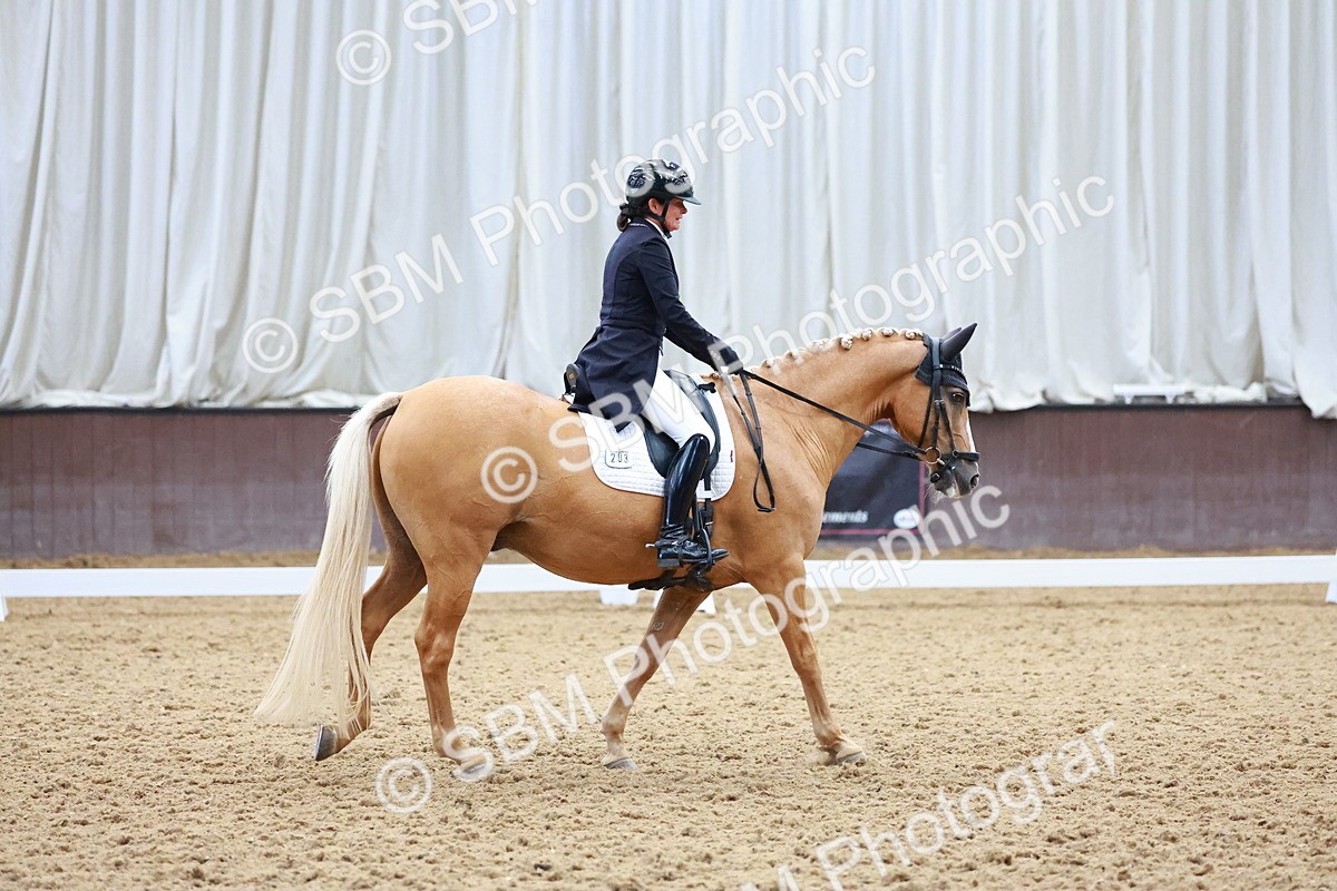 SBM_021321 - Class 25 - FEI PSG Bronze