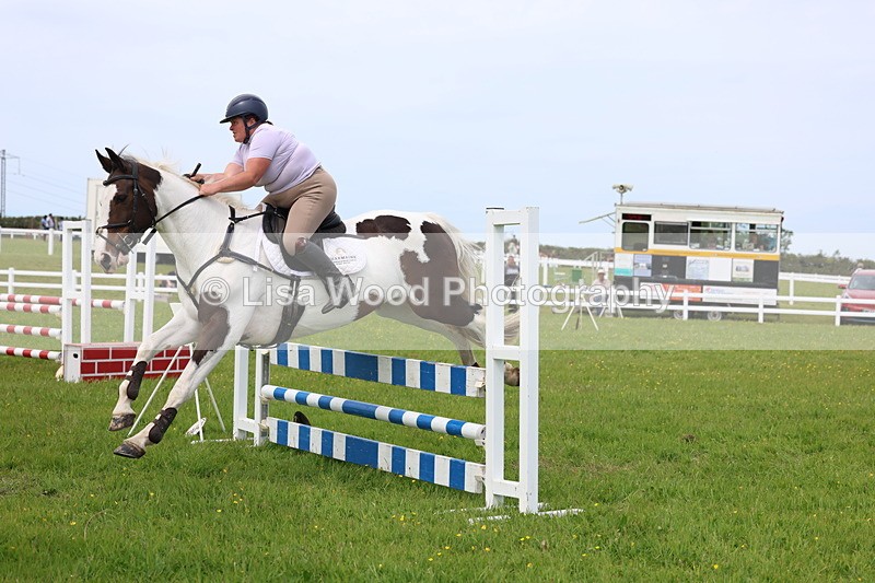 3E7A1694 - Class 13: Senior British Novice/90cm open
