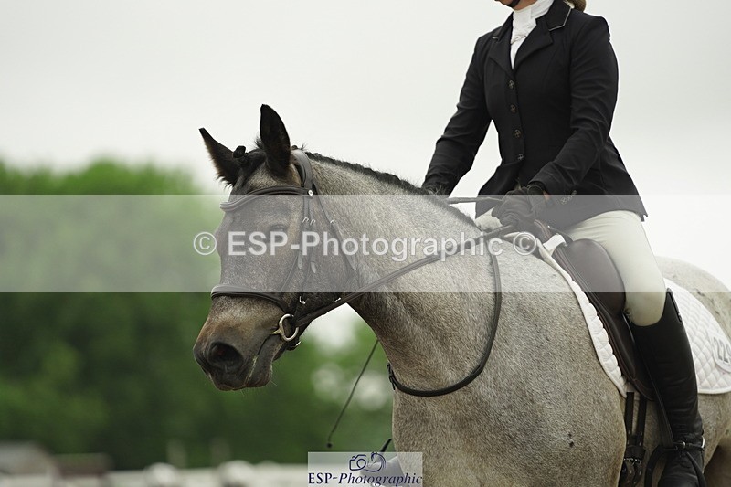 230708A-101028-00337 - Intro C