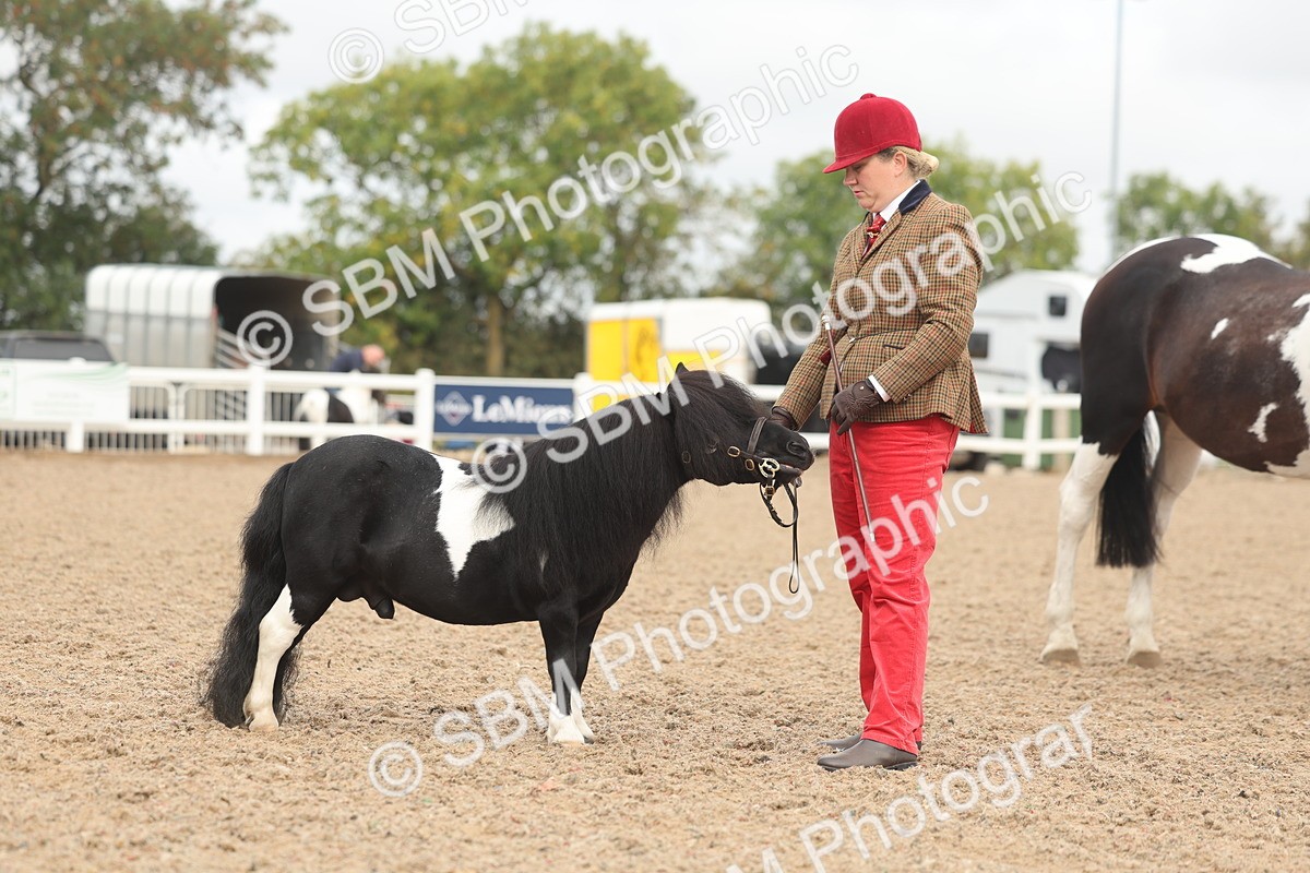 SBM_02118 - Class 15 - IH Coloured