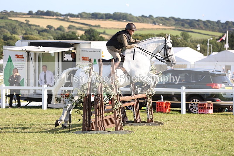 JPP_3353 - Class 22: Working Hunter 90cm