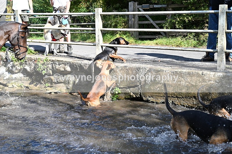 WJ7_6019 - Hounds Water Crossing