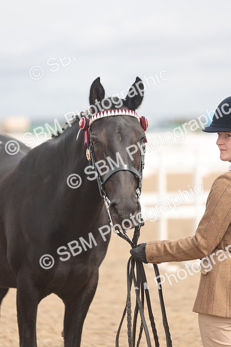 SBM_05016 - Class 20 - IH Veteran