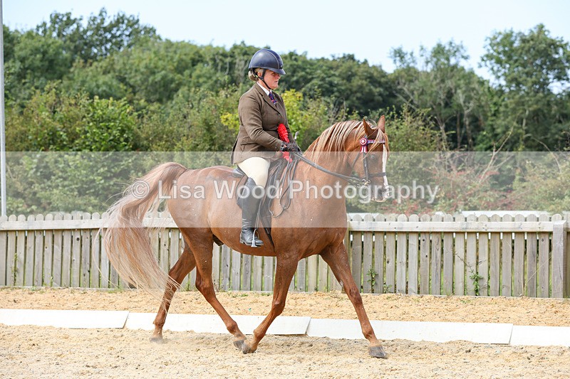 1X9A8385 - Ridden Championship