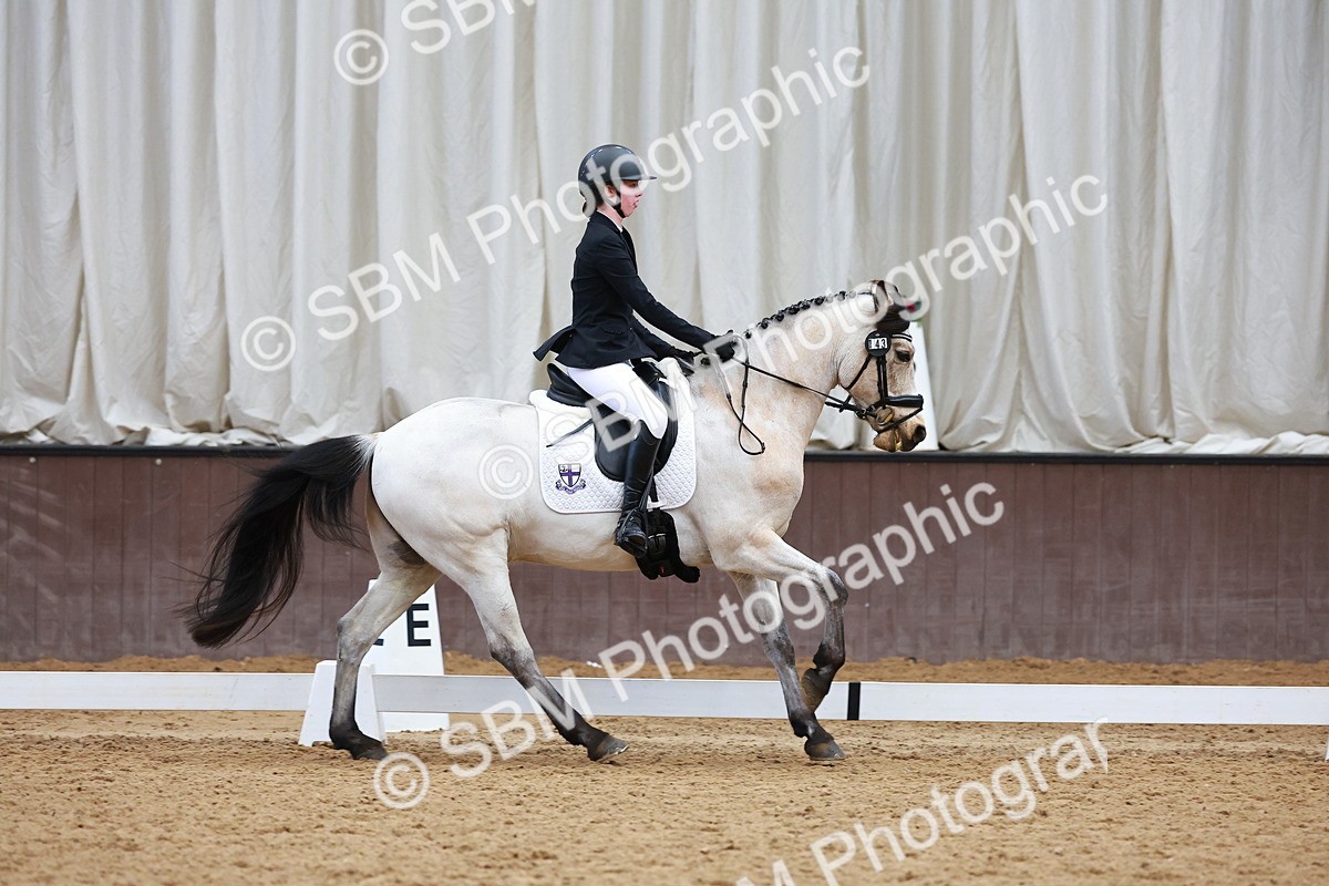 SBM_003416 - Class 11 - Novice 2