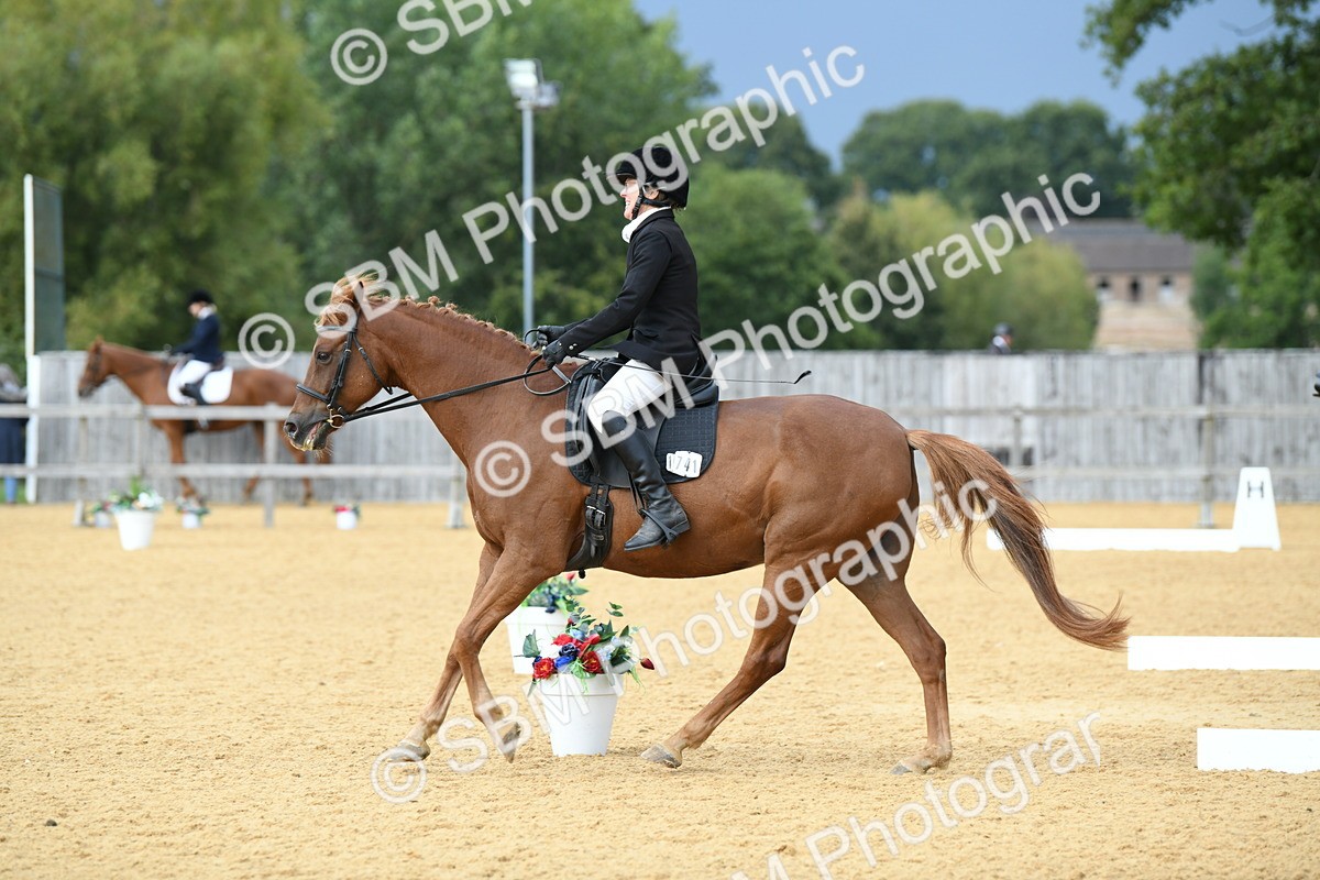 SBM_10980 - D28 Elementary Taster Elementary 42