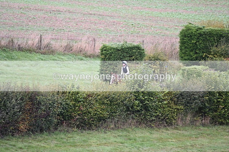 WJ6_1370 - Time 10:05 to 10:30  (3 cameras)