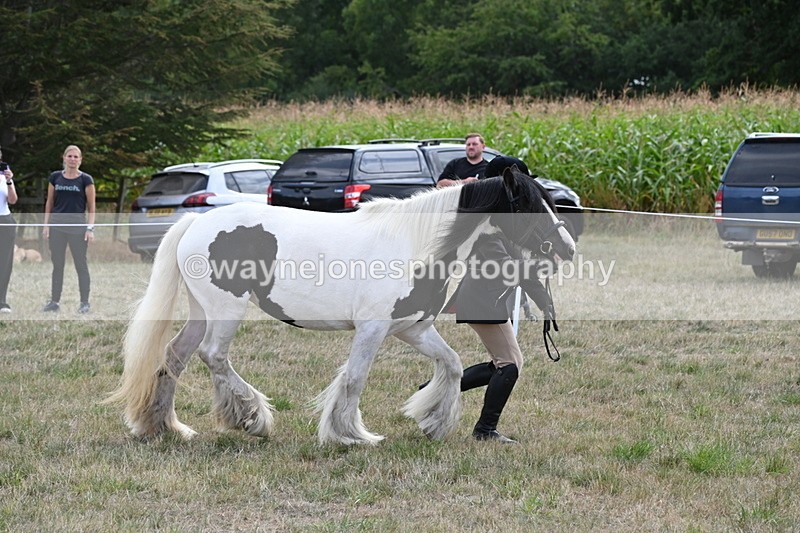 WJ6_6656 - Class 20 In-hand Cob