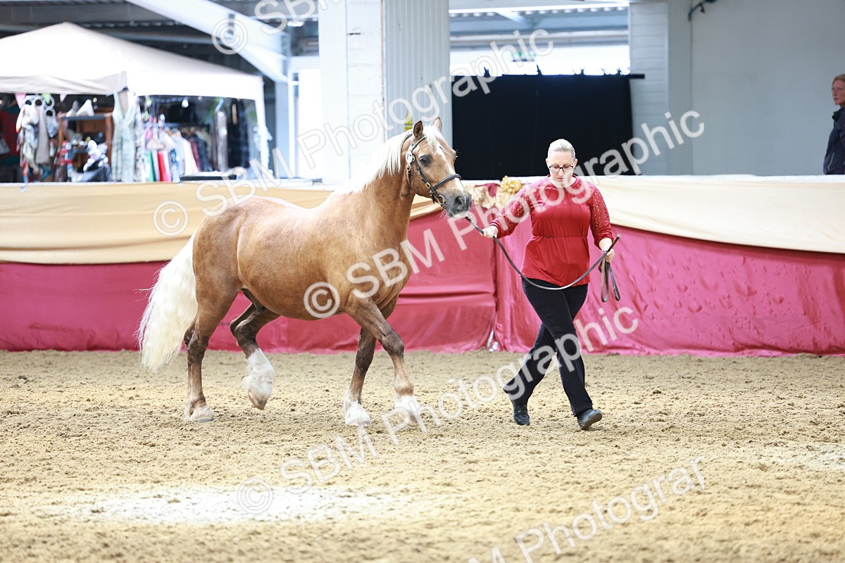 SBM_17516 - Class 951 - M&M IH Supreme Final