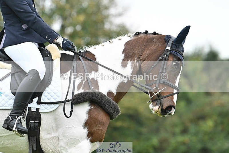 241024-135741-04257 - 331-Amber.Williams-COSMIC.MIKADO