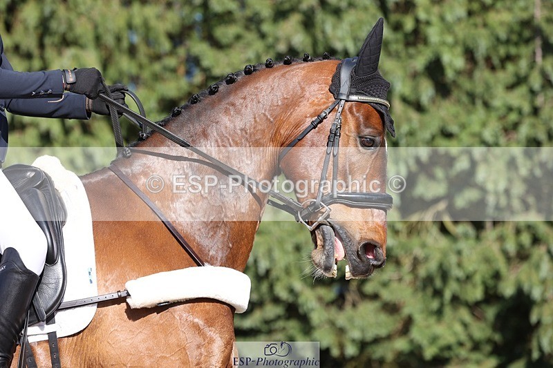 230526-173627-07997 - 179-JARSON-Charlotte_Agnew-WEDTrotUp+DR