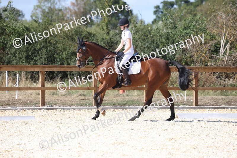 20260905-1517 - Class 5 - Novice 2