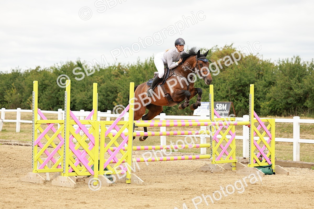 SBM_017760 - Class 21 - Senior Newcomers Championship 2d Rd