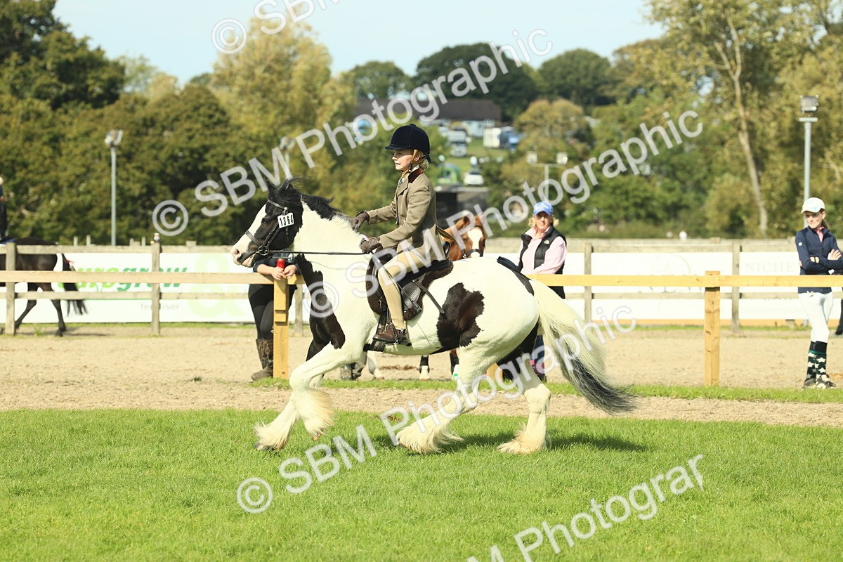 SBM_68903 - S58 - Mini Show Cob Ridden