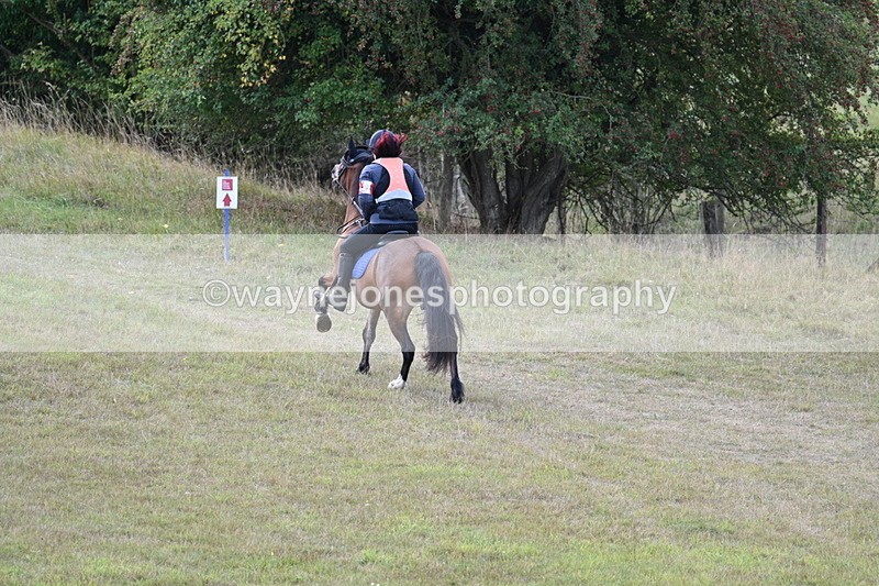 WJ7_5207 - Time 11:22 to 11:41