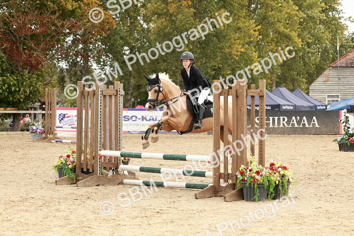 SBM_65276 - Supreme Championship 50cm & 55cm