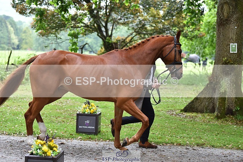 240522-165106-01199 - 223-MORNINGSTAR_VAN_ALTRIDO-Max_Warburton