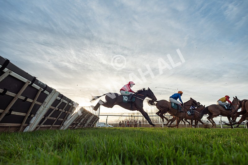 010126-Race 5-East Eagle-8649 - Race 5