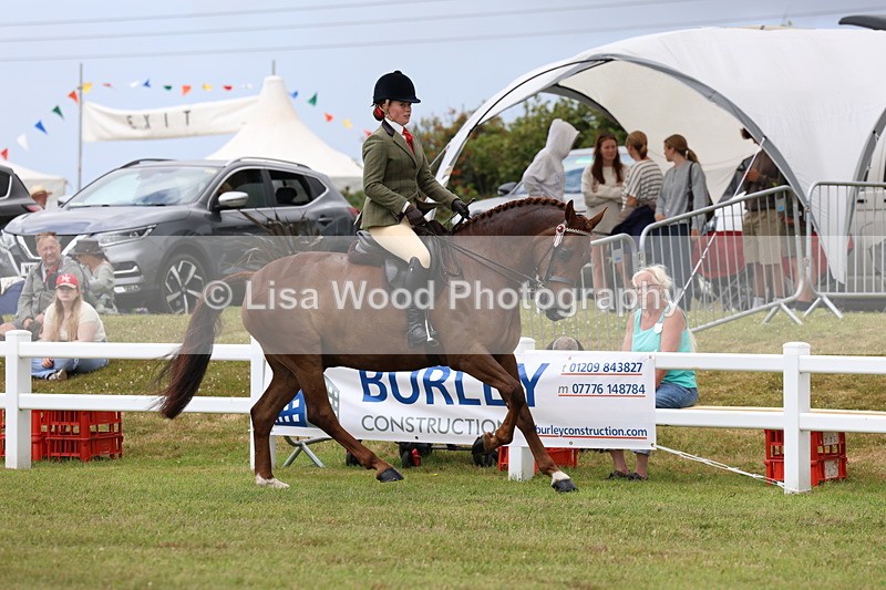 3E7A0895 - Class 8: Open Riding Horse/Hack