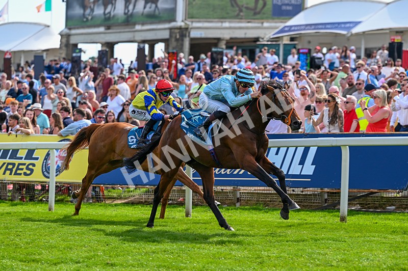 230526-Race 6-Pearl River-7756 - Race 6 16.25pm Royal Yorkshire Regiment Handicap