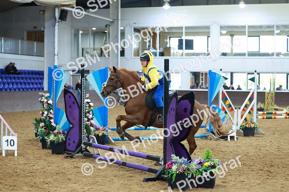 SBM_002264 - Class 3 - Horse & Hound (60cm)