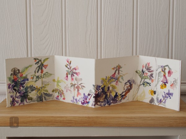 Pulmonaria - Summer Light