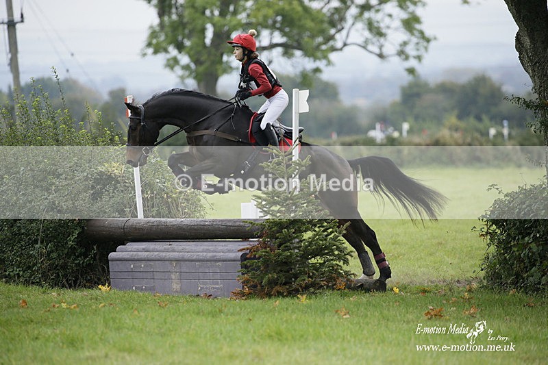  WWHT 171021 1098 - Open Novice (0.80m)  17/10/21