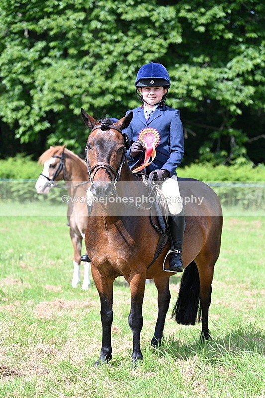 WJ7_0889 - Class 8 First Rally Pony
