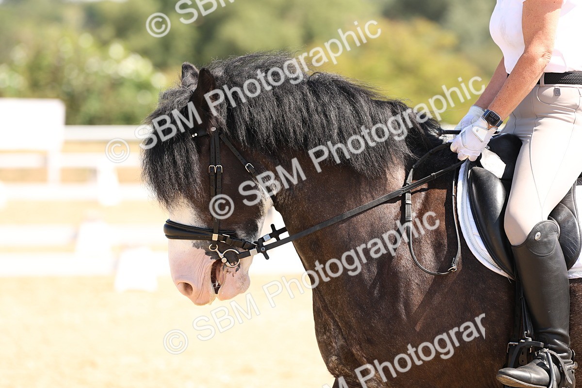 SBM_001196 - Intro 2