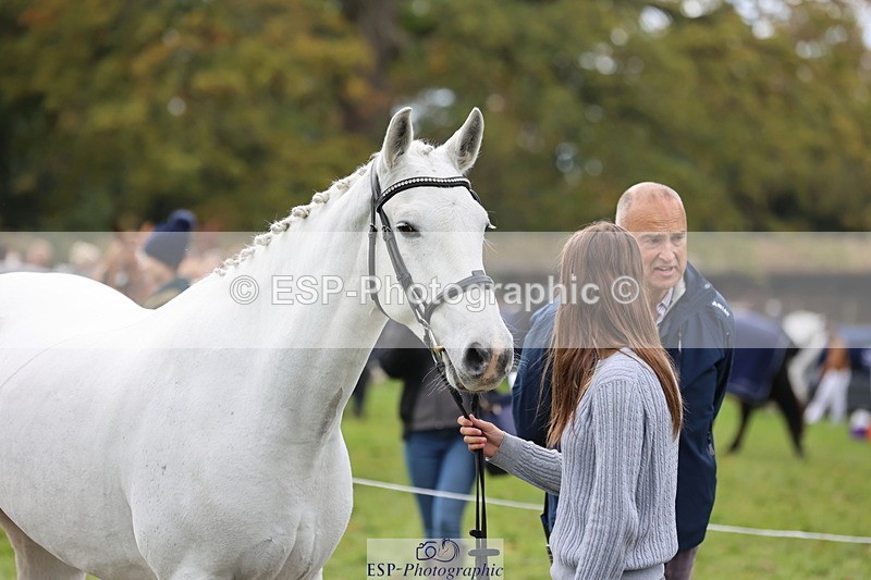 251026A-113632-25560 - F-479-Poppy.Wellman