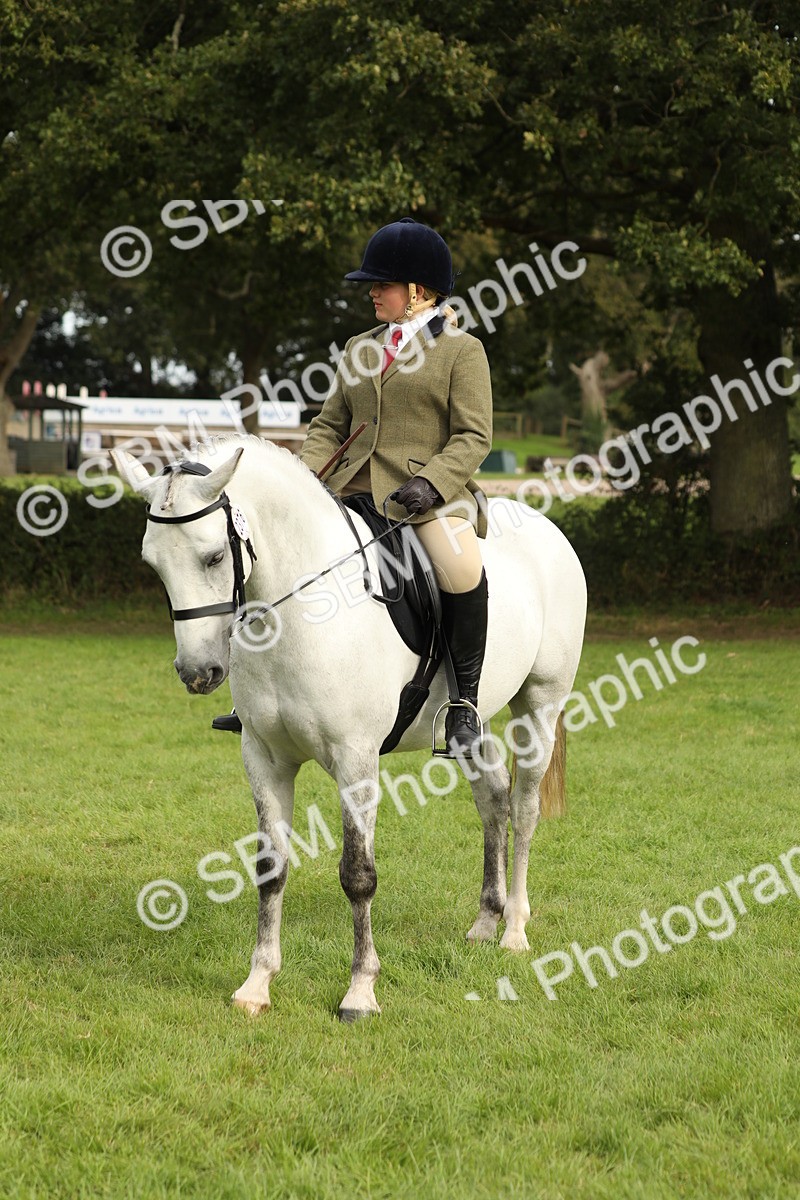 SBM_71525 - S41 - Ridden Equitation (Best Rider)
