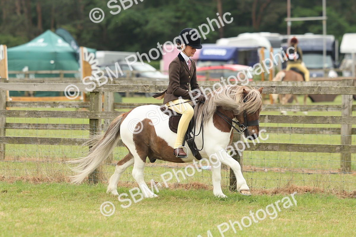 SBM_08893 - Class 78-80 - Ridden M&M Non Welsh Ponies