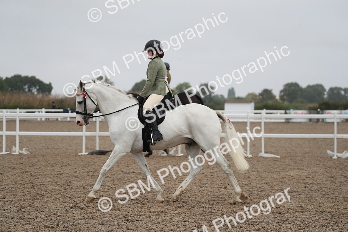 SBM_21987 - Class 603 - 2025 Area Ridden Pre Vet