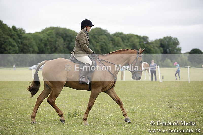 BVR160717-820 - Ring 1 BVRC Show 16/07/17