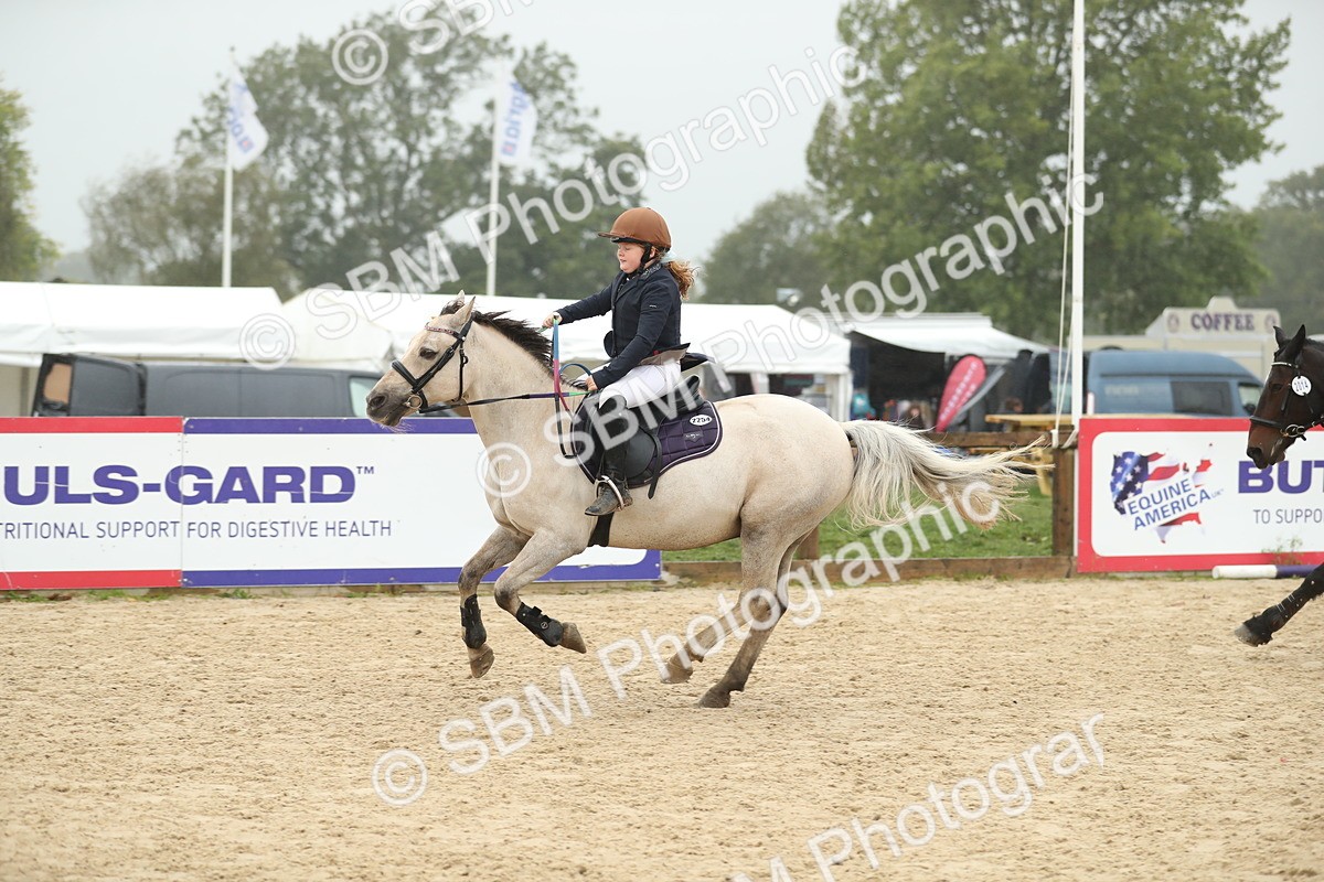SBM_74153 - J16 - Junior Pony 75cm Championship