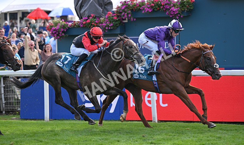 190826-261 Henley On Thames - Race 7 17.20pm Sky Bet Nursery Handicap