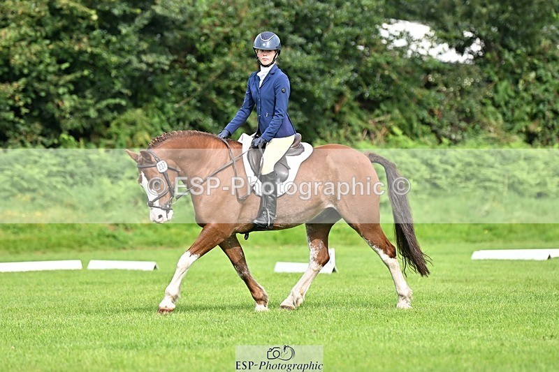 230826-100400-16347 - Sections A & B 10 to End