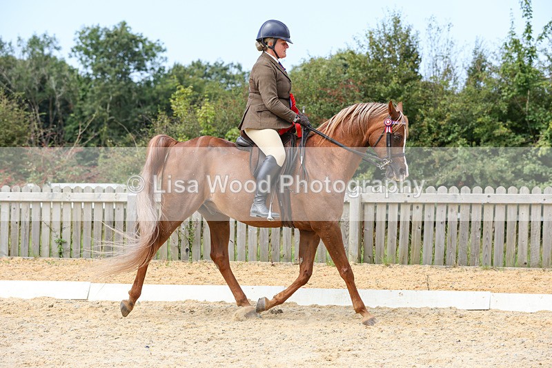 1X9A8386 - Ridden Championship