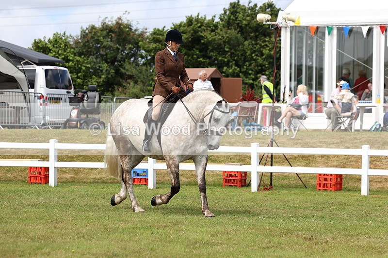 3E7A0244 - Class 6: Rising Star Maxi Cobs