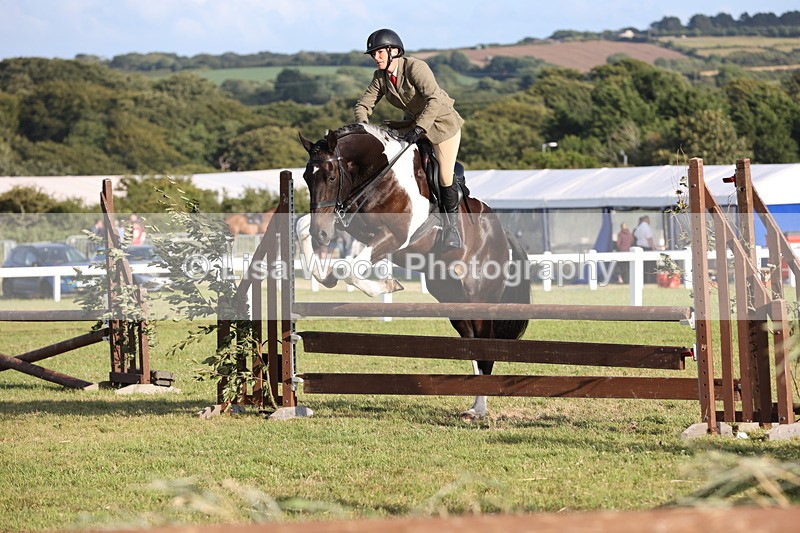 JPP_3454 - Class 22: Working Hunter 90cm