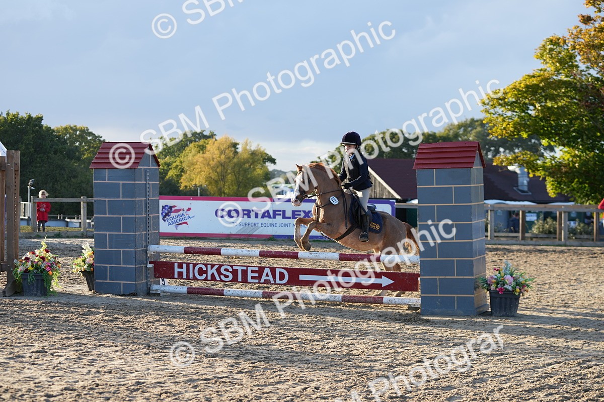 SBM_54097 - Supreme Championship 60cm 65cm