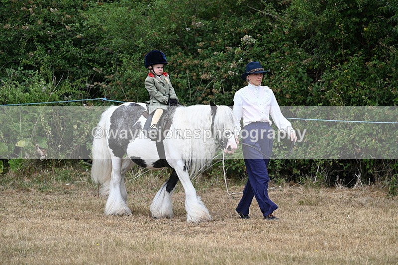 WJ7_6745 - Class 1 Lead Rein Pony