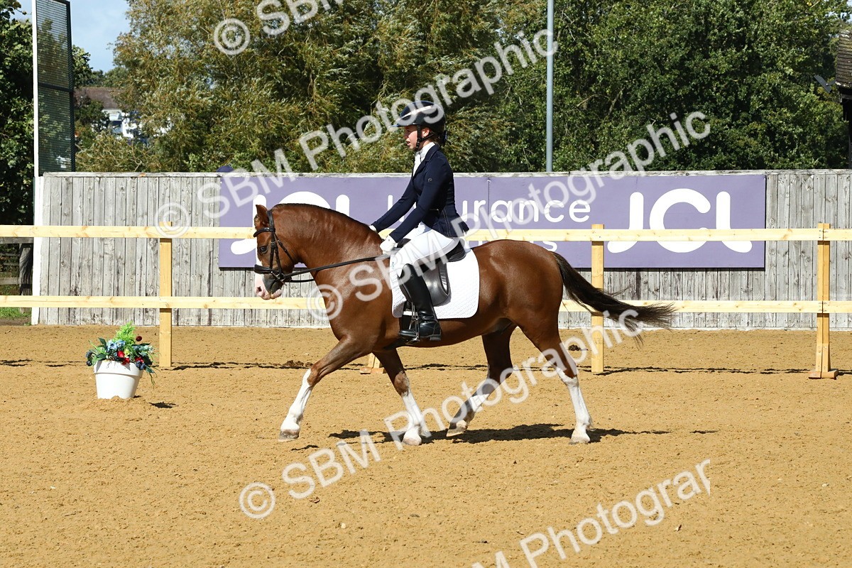 SBM_23504 - D5 - Small Tour Championshop Intro 2