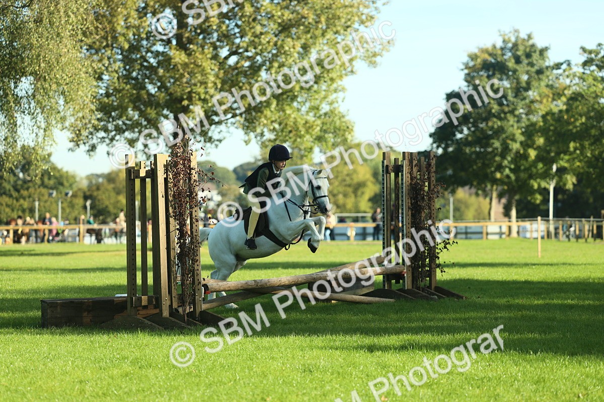 SBM_36372 - S29 - Novice & Newcomers Working Hunter Pony